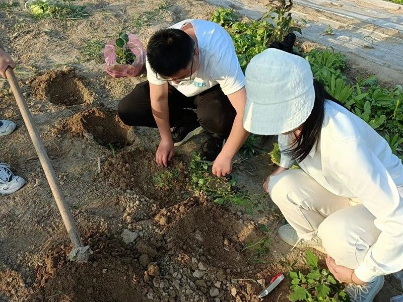 五一五四系列活動(dòng)勞動(dòng)